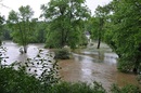 Hochwasser im Ilm Park Weimar