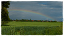 Regenbogen