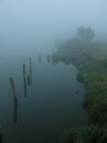 Morgennebel an der Warnow
