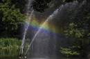 kleiner Regenbogen