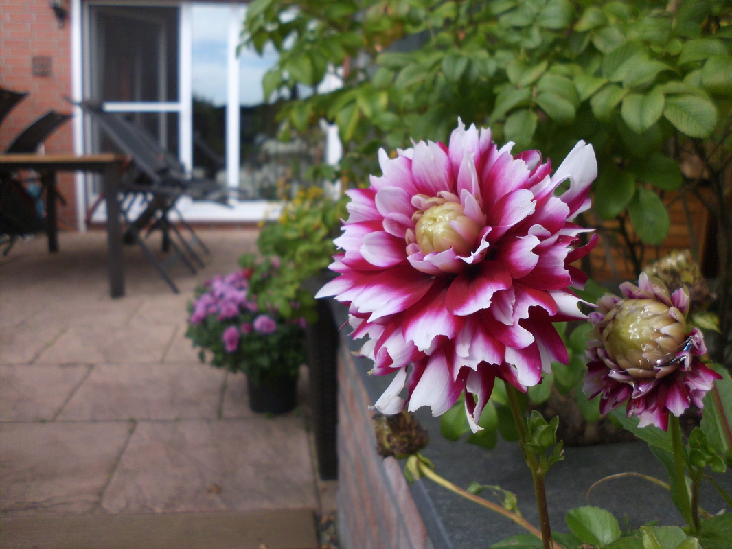 im Garten
