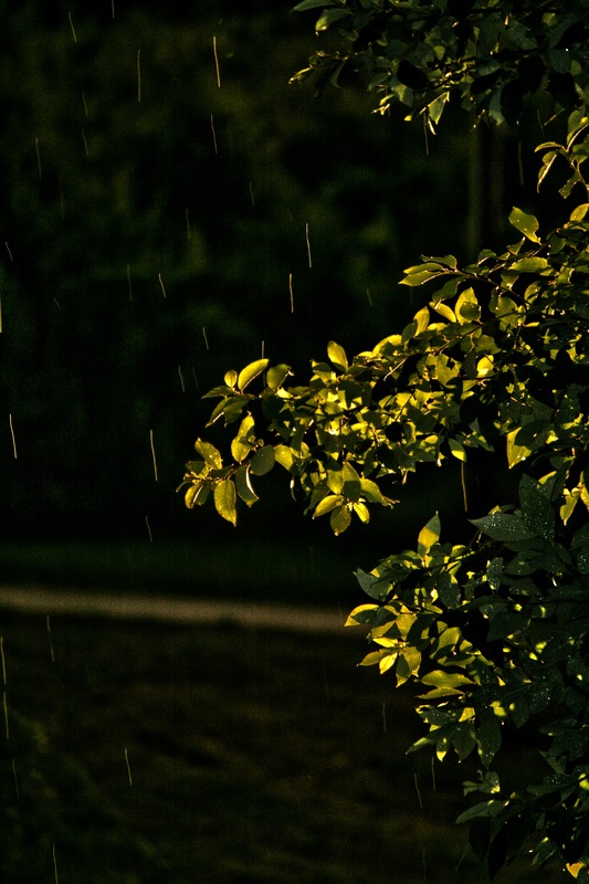 Komischer Regen heut^^