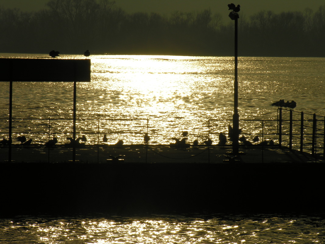 ... im Gegenlicht ...