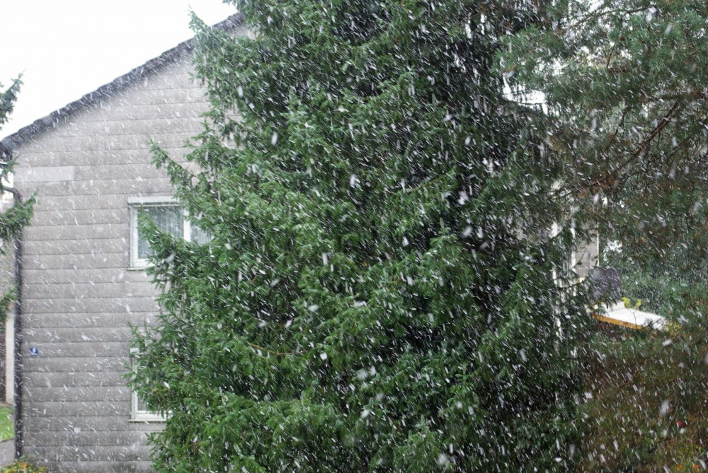Fetter Schneeschauer