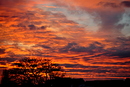 Rosawolken-Kunst