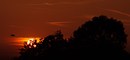 abendmahl