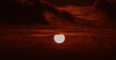 sonne 49