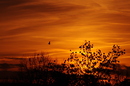 Himmel