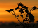 Fotos_Himmel