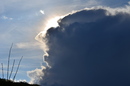 SO also sieht Gott aus..........