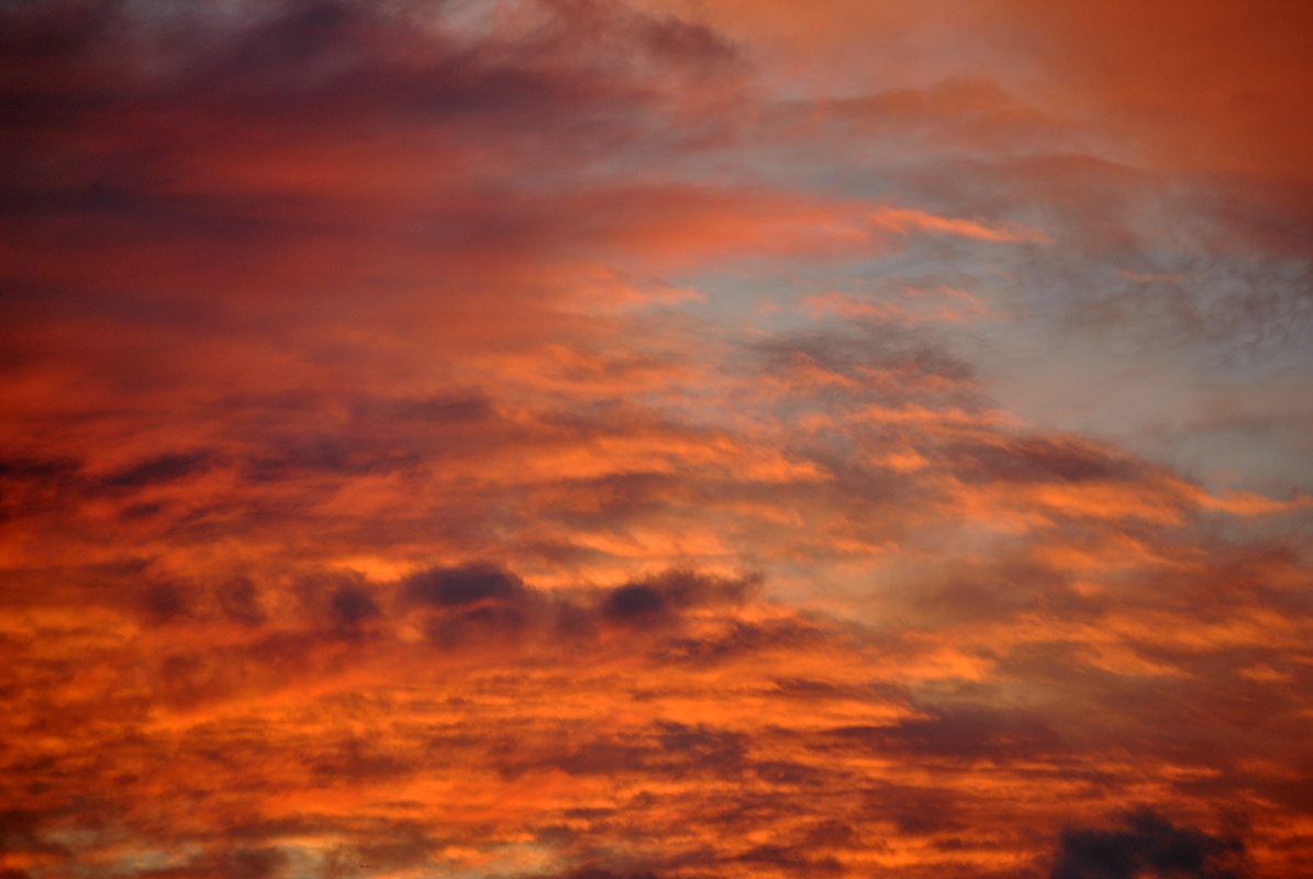 rosawolken-kunst 