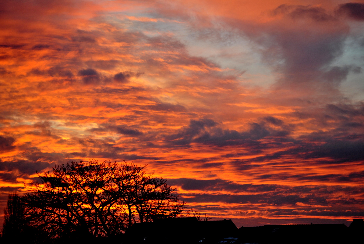 Rosawolken-Kunst