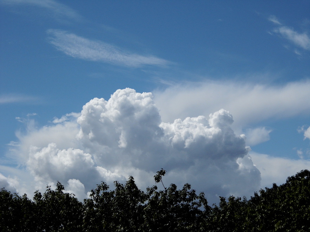 Ohne Titel!