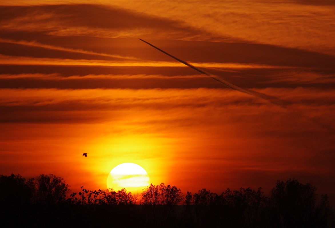 Abendflug