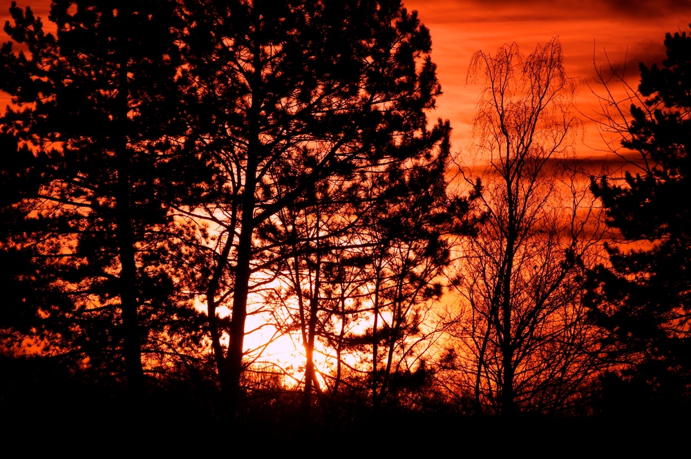 Himmel ooo,3