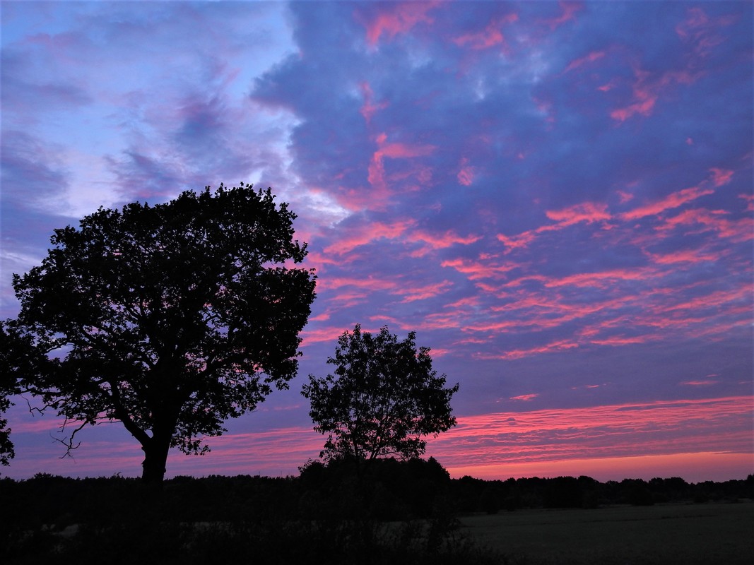 Morgenhimmel in Holm