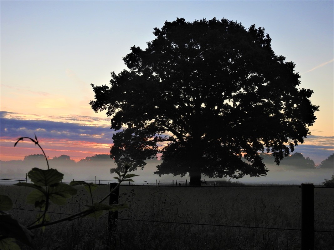 Heutiger Morgenhimmel