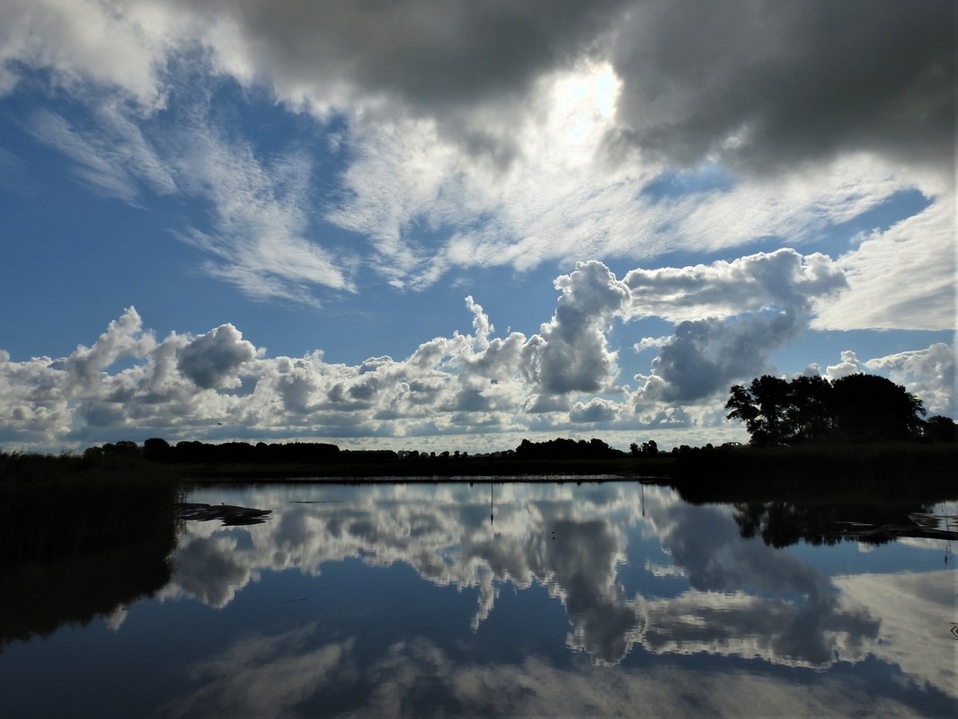 Wischhafen im Wolkenmeer