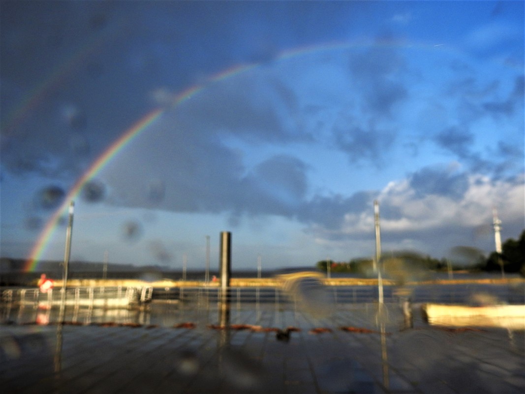 Der Regenbogen