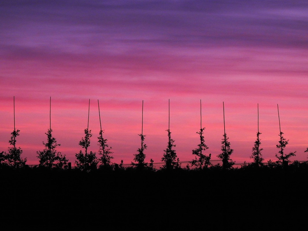 Abendhimmel malerisch