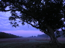 Fotos_Blaue Stunde