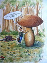 VERA, DAS PILZ-BESTIMMUNGSBUCH, SCHNELL !!!