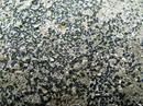 Fotos_Pilze & Flechten