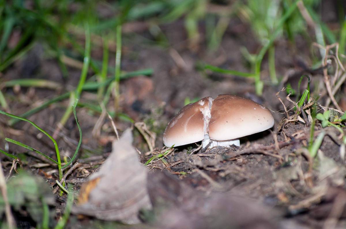 Heute im Garten gesehen