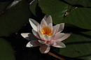 Fotos_Bachläufe