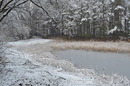 Renaturalisierung (Teich im Winter)