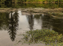 Fotos_Bachläufe