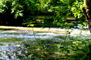 Fotos_Bachläufe