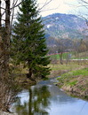 Fotos_Bachläufe