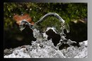 Fotos_Bachläufe
