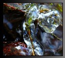 Fotos_Bachläufe