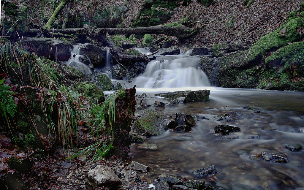 im morgenbachtal/bei bingen