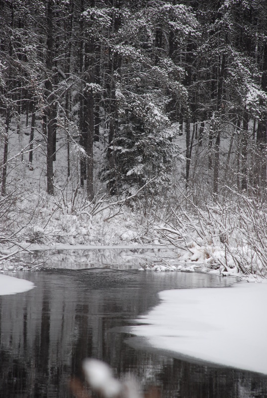 The serenity of winter