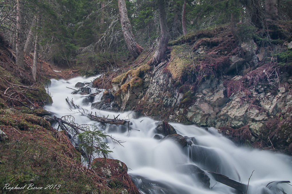 Schmelzwasser von der Winterleitn!