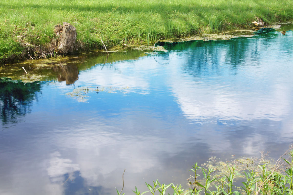 Bachlauf bei Münster