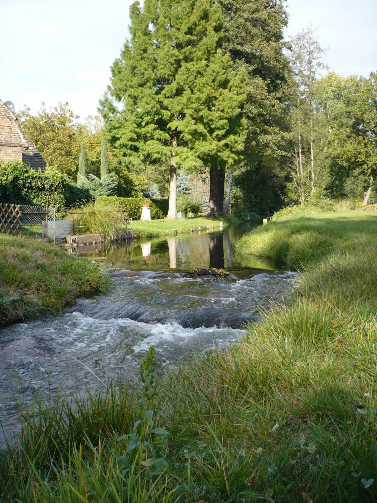 Stromschnellen 2