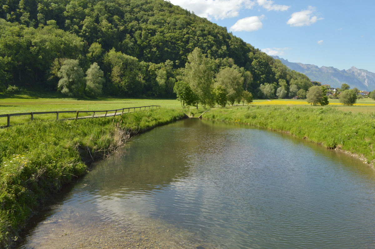 Erinnerung an einen schönen Sommertag