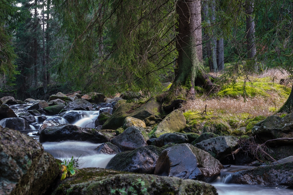 Schwarzwasser Tschechien 