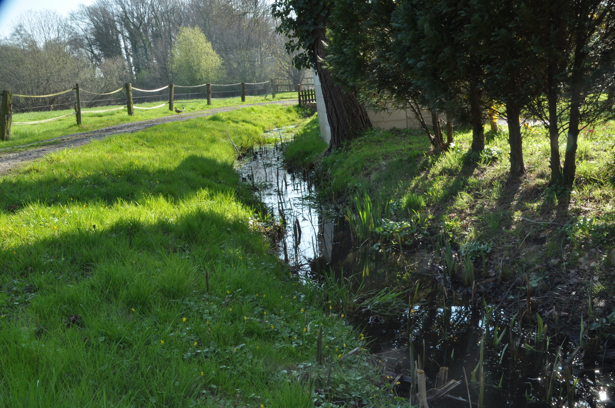 Landschaftsidylle