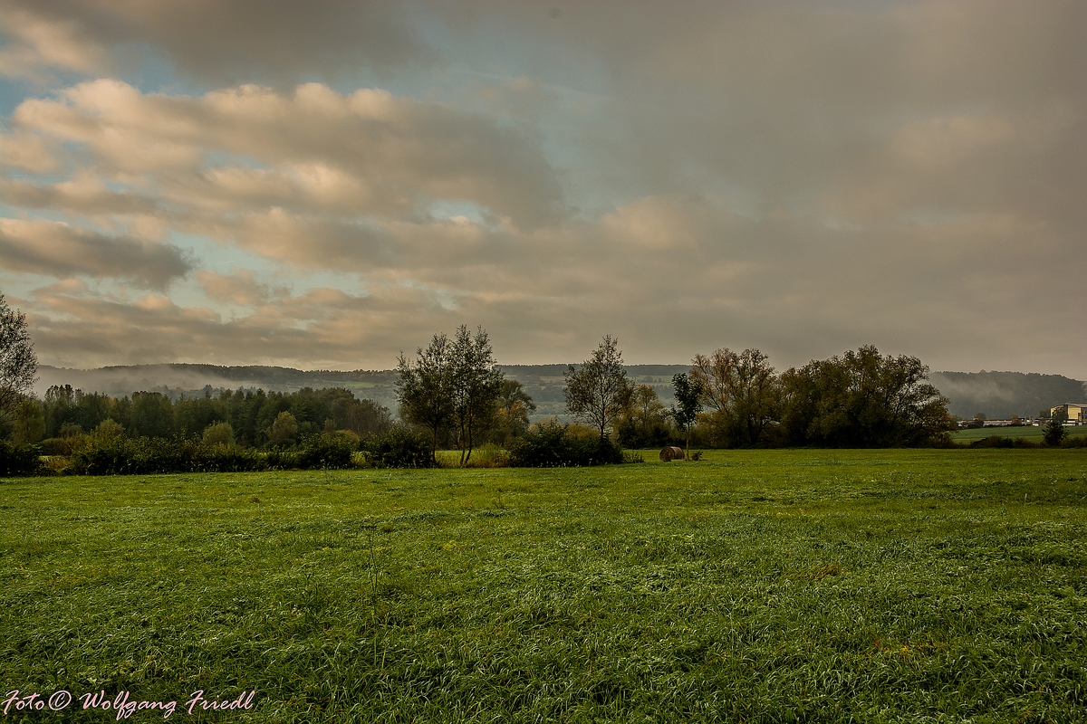 Saalewiesen bei Hammelburg