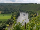 Neckar in Weinbergen