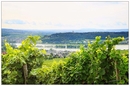 Landschaft bei Rüdesheim am Rhein