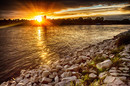 Rhein