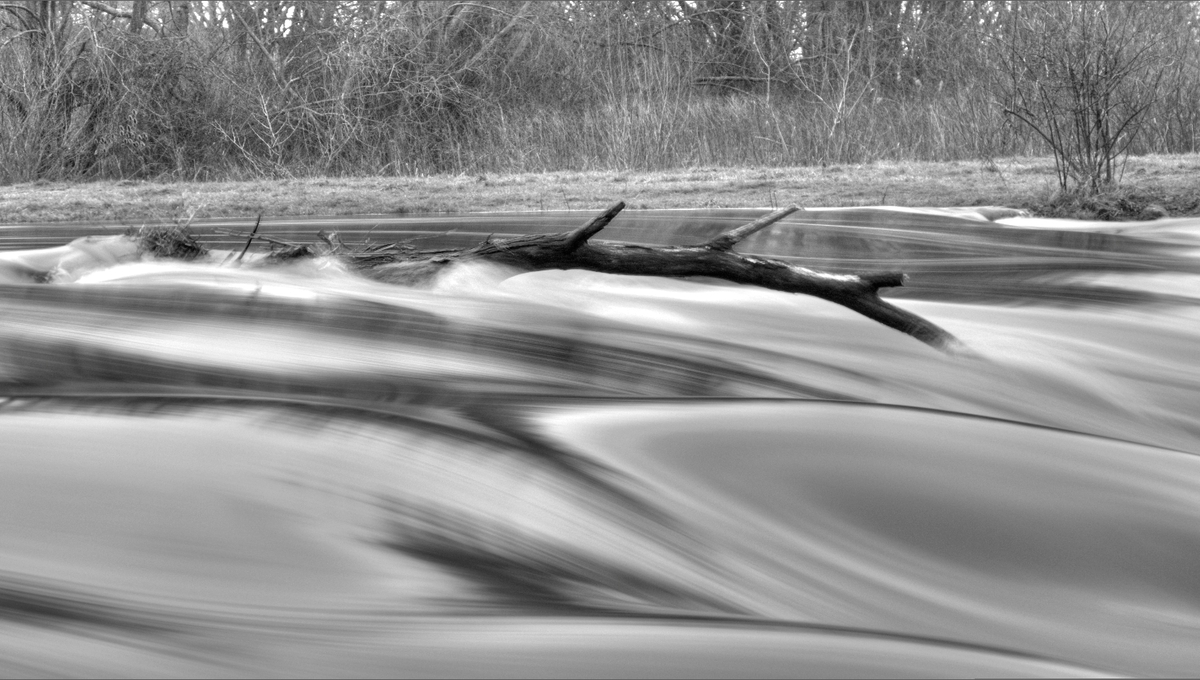 Baum im Wasserfall in s/w