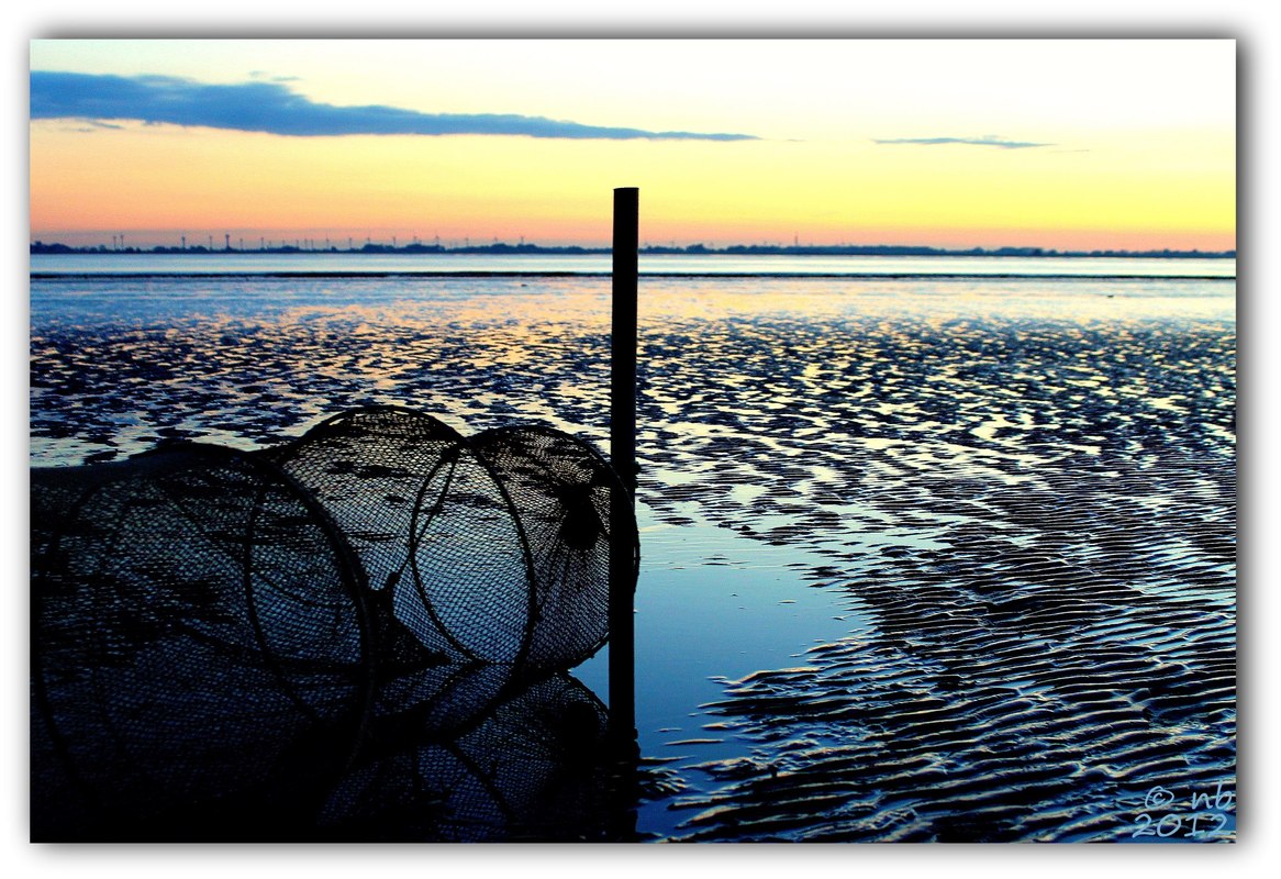 Die Reuse.............