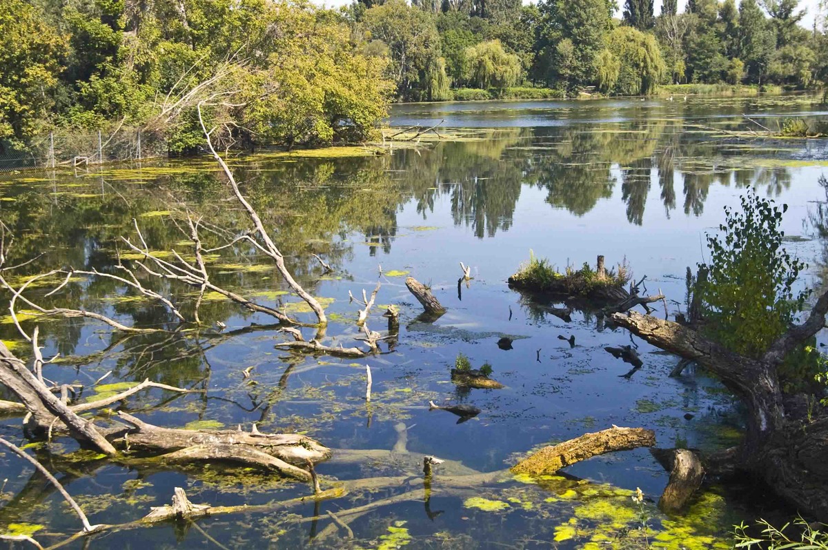 030911_Wasserpark_01